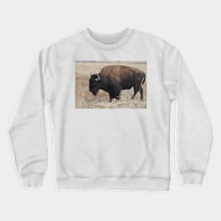 Bison Crewneck Sweatshirt